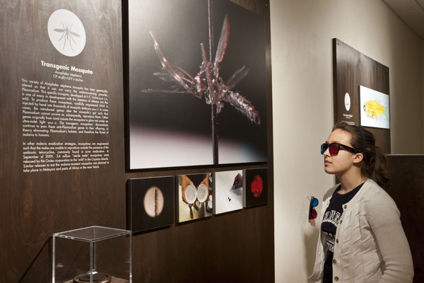 “Art and Science Get Intimate,” Review of “Intimate Science” Exhibition at the Miller Gallery, Hyperallergic, April 2012